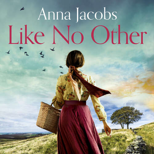 Book cover of Like No Other