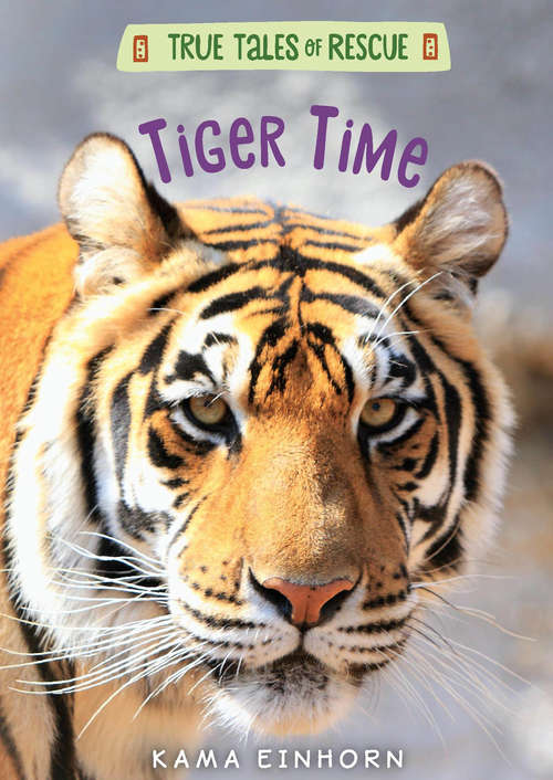 Book cover of Tiger Time (True Tales of Rescue)