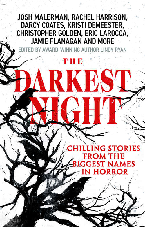 Book cover of The Darkest Night: A Terrifying Anthology of Winter Horror Stories by Bestselling Authors, Perfect for Halloween