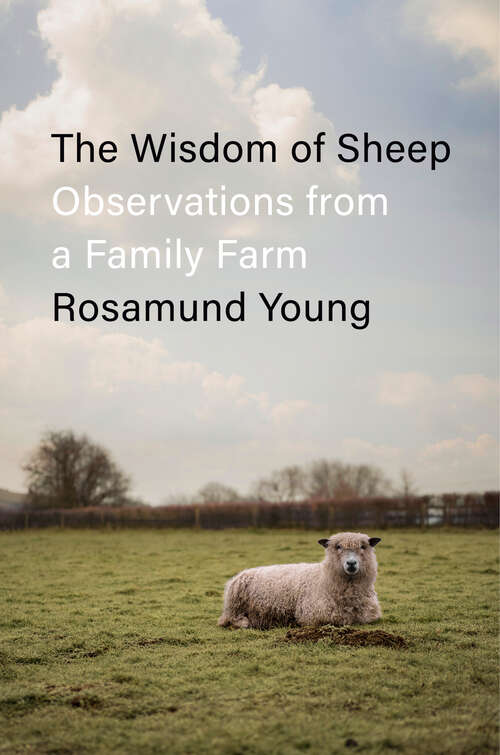 Book cover of The Wisdom of Sheep: Observations from a Family Farm