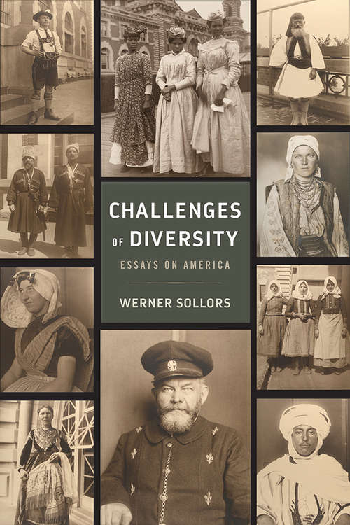 Book cover of Challenges of Diversity: Essays on America