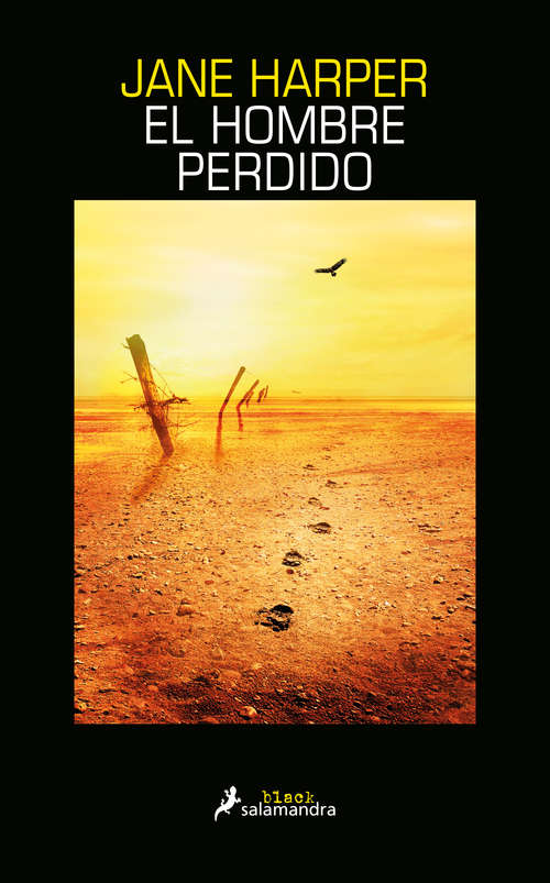 Book cover of El hombre perdido