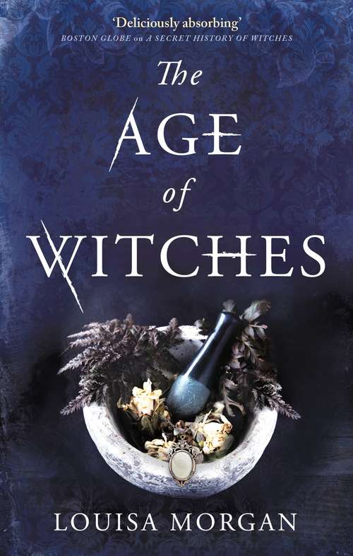 Book cover of The Age of Witches