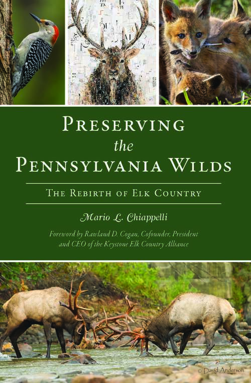 Book cover of Preserving the Pennsylvania Wilds: The Rebirth of Elk Country (The History Press)