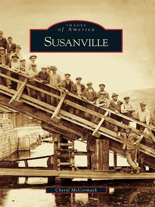 Book cover of Susanville