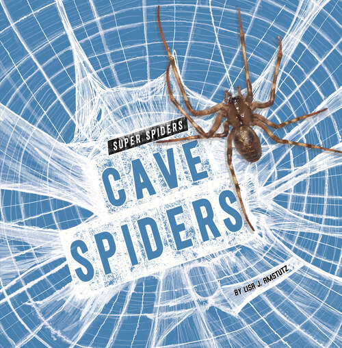 Book cover of Cave Spiders