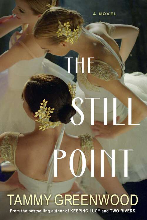 Book cover of The Still Point: An Addictive Novel of Desire and Jealousy