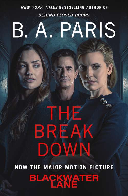 Book cover of The Breakdown: A Novel