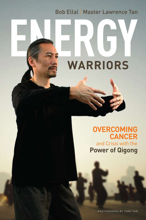 Book cover of Energy Warriors