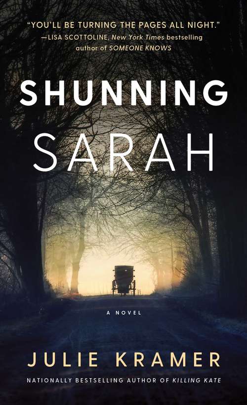 Book cover of Shunning Sarah