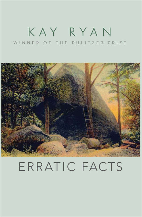 Book cover of Erratic Facts