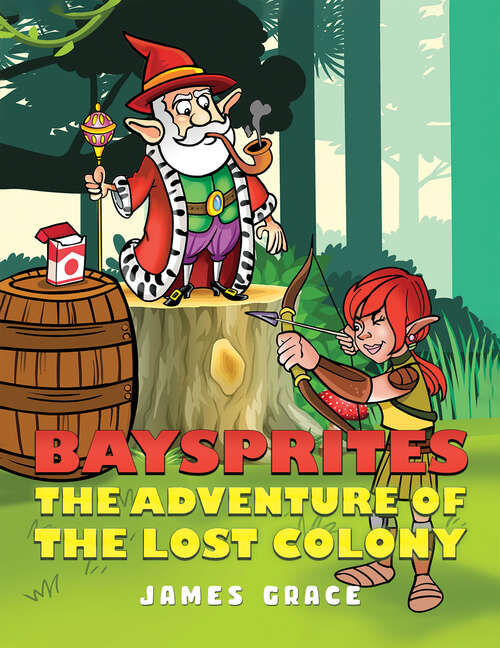 Book cover of Baysprites: The Adventure of the Lost Colony