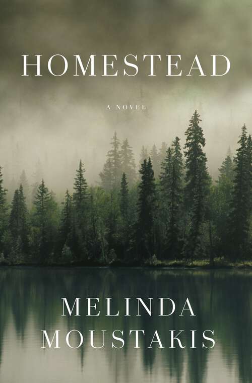 Book cover of Homestead: A Novel