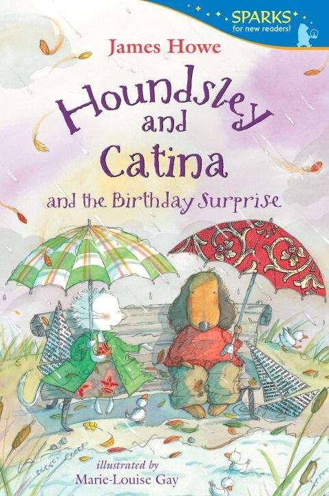 Book cover of Houndsley and Catina and the Birthday Surprise (Fountas & Pinnell LLI Blue: Level K)