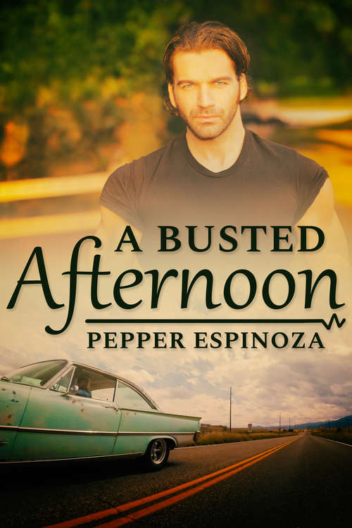 Book cover of A Busted Afternoon