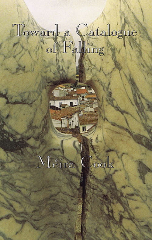 Book cover of Toward a Catalogue of Falling