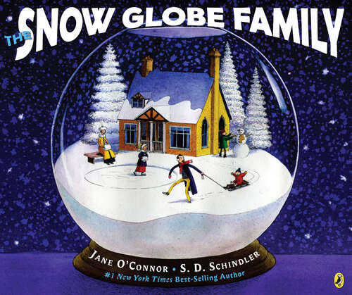 Book cover of The Snow Globe Family