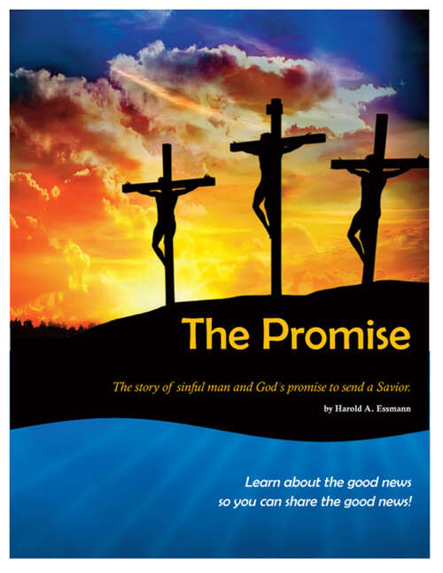 Book cover of The Promise