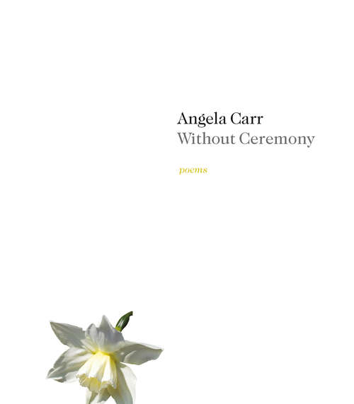 Book cover of Without Ceremony