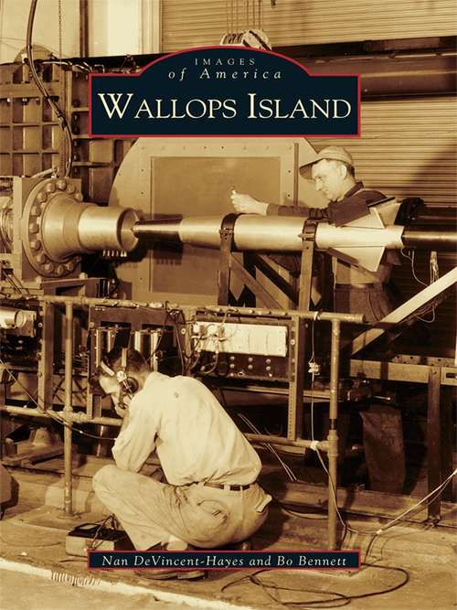 Book cover of Wallops Island