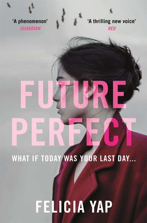 Book cover of Future Perfect: The Most Exciting High-Concept Novel of the Year
