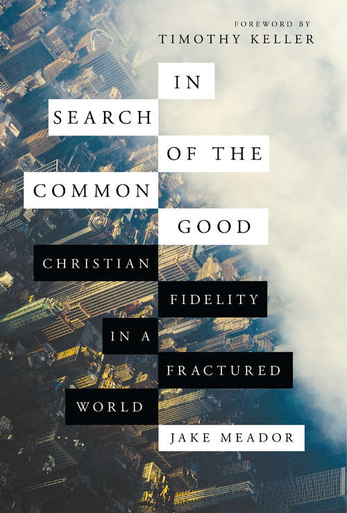 Book cover of In Search of the Common Good: Christian Fidelity in a Fractured World