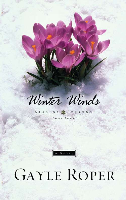 Book cover of Winter Winds (Seaside Seasons #4)