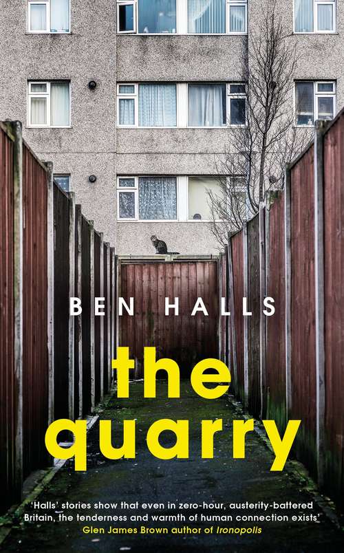 Book cover of The Quarry