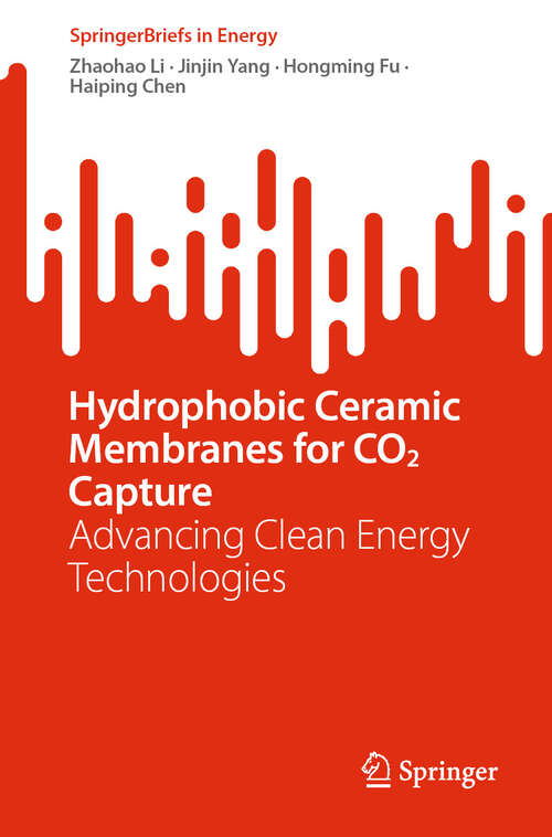 Book cover of Hydrophobic Ceramic Membranes for CO2 Capture: Advancing Clean Energy Technologies (SpringerBriefs in Energy)