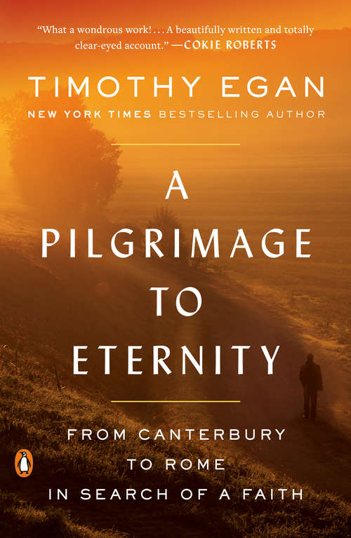 Book cover of A Pilgrimage to Eternity: From Canterbury to Rome in Search of a Faith