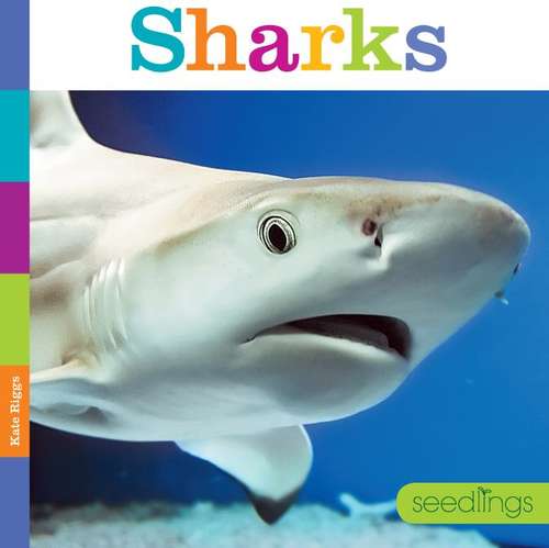 Book cover of Sharks (Seedlings)