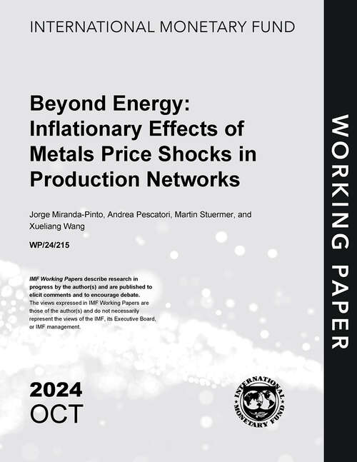 Book cover of Beyond Energy: Inflationary Effects of Metals Price Shocks in Production Networks