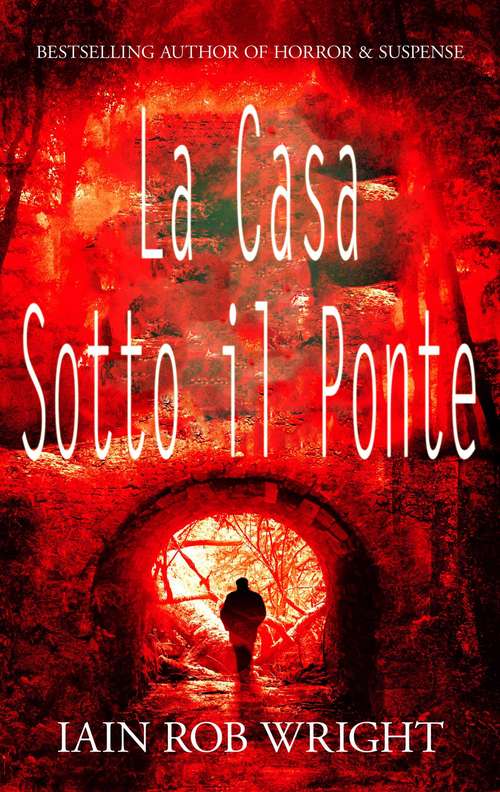 Book cover of La Casa Sotto il Ponte