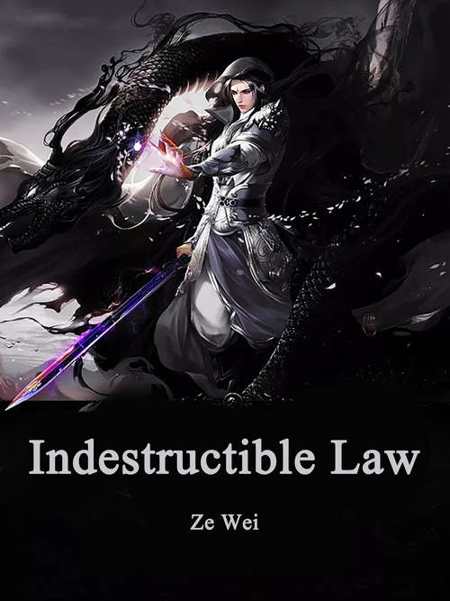 Book cover of Indestructible Law: Volume 1 (Volume 1 #1)