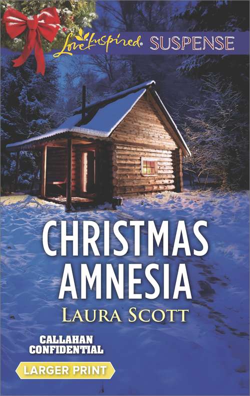 Book cover of Christmas Amnesia