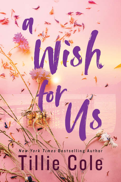 Book cover of A Wish for Us