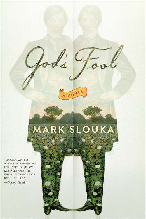 Book cover of God's Fool: A Novel (Vintage Contemporaries Ser.)