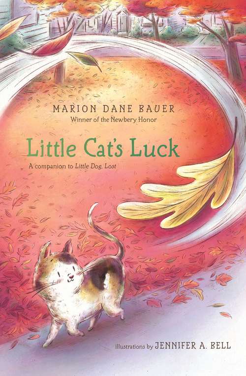 Book cover of Little Cat's Luck