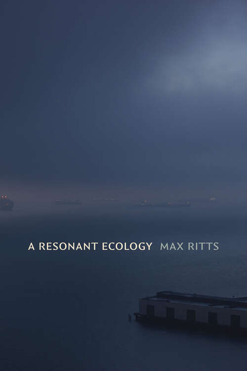 Book cover of A Resonant Ecology (Sign, Storage, Transmission)