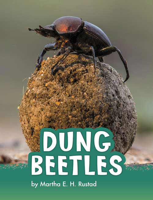 Book cover of Dung Beetles (Animals)