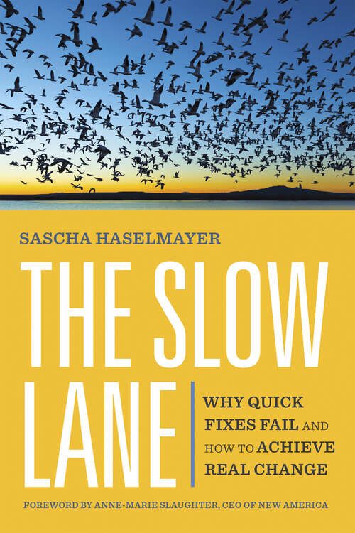 Book cover of The Slow Lane: Why Quick Fixes Fail and How to Achieve Real Change