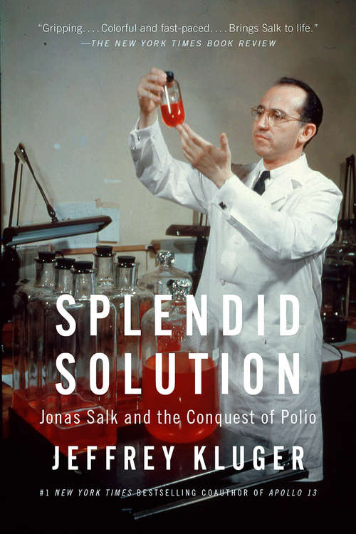 Book cover of Splendid Solution