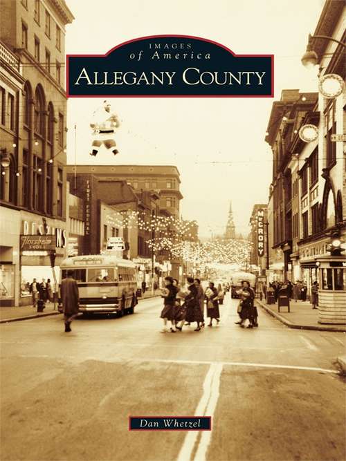 Book cover of Allegany County