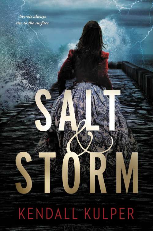 Book cover of Salt & Storm: A Salt And Storm Story