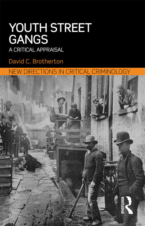 Book cover of Youth Street Gangs: A critical appraisal (New Directions in Critical Criminology)