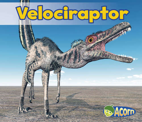 Book cover of Velociraptor