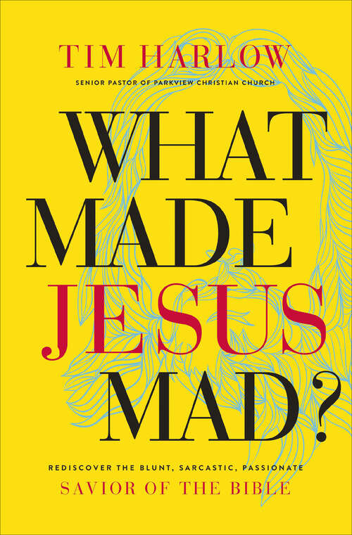 Book cover of What Made Jesus Mad?: Rediscover the Blunt, Sarcastic, Passionate Savior of the Bible