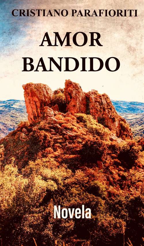 Book cover of Amor Bandido