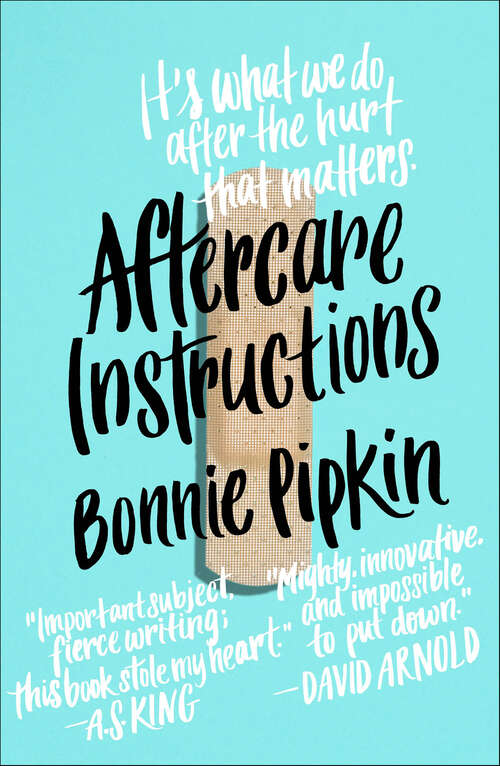 Book cover of Aftercare Instructions: A Novel