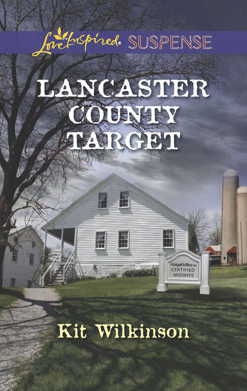 Book cover of Lancaster County Target: Lancaster County Target